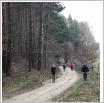 Galeria zdjęć: Nordic walking. Link otwiera powiększoną wersję zdjęcia.